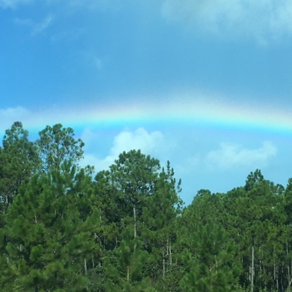 Meet your Posher, Debbie - Picture 2 of 2